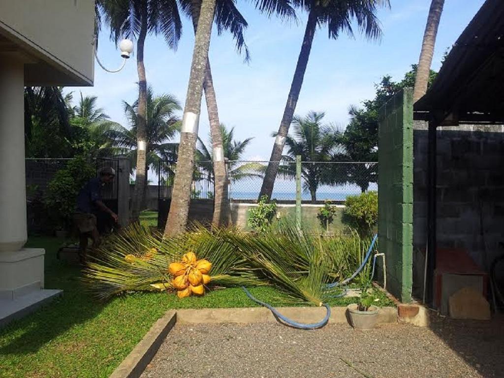 ホテル Janishi Residencies ネゴンボ エクステリア 写真